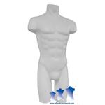 Deluxe Male 3/4 Torso, White 